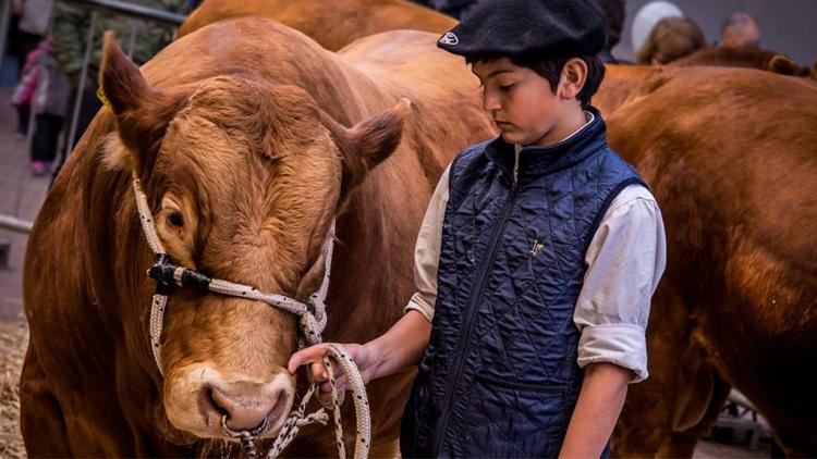 Unifican normas sanitarias para poder participar de la Rural de Palermo