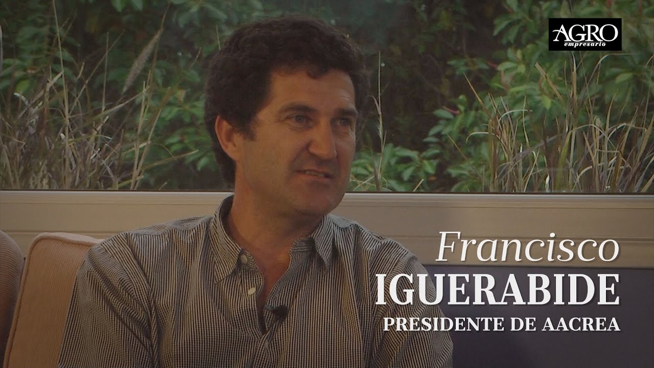 Iguerabide: Hay menos aversión al riesgo y se nota en más inversiones