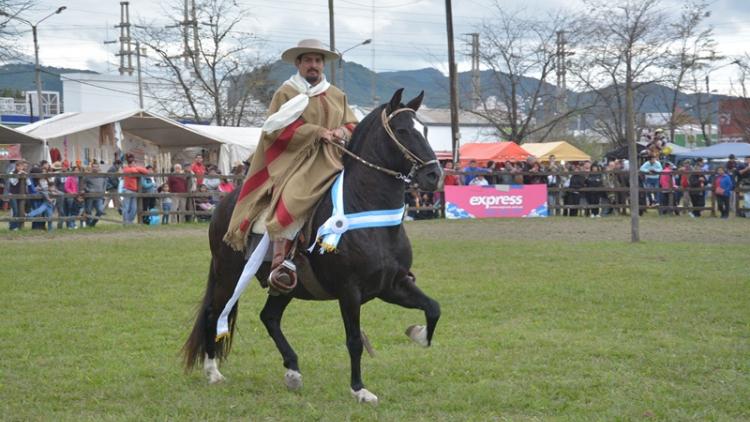 Salta recibirá a los criadores de Peruanos de Paso