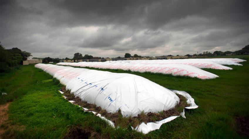 Las cinco razones por las que los productores retienen la soja